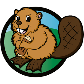 clase-castorcitos-aventureros.jpg